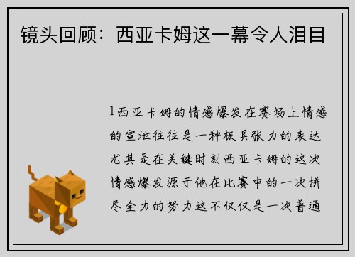 镜头回顾：西亚卡姆这一幕令人泪目